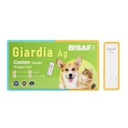 BISAF_dvot_giardia.webp