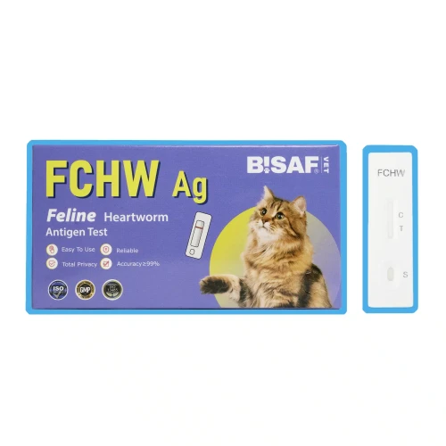 BISAF_dvot_fchw.webp