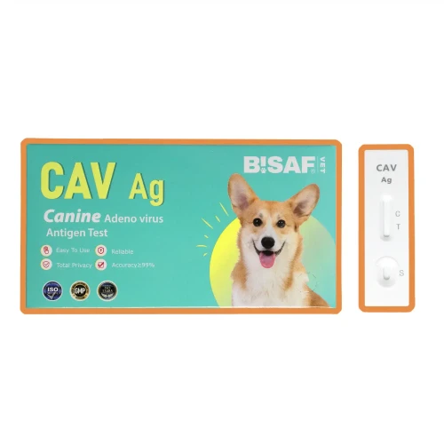 BISAF_vet_katalog_cav.webp