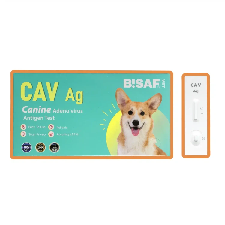 BISAF_vet_katalog_cav.webp