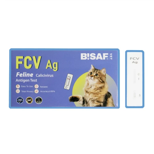 BISAF_dvpt_fcv.webp