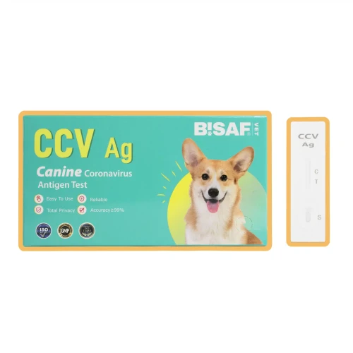 BISAF_dvot_ccv.webp
