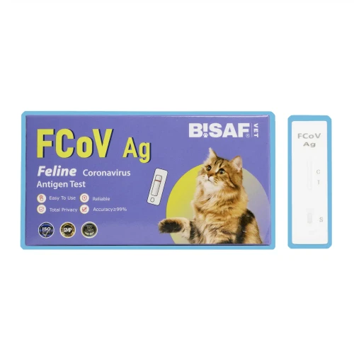 BISAF_dvot_fcov.webp