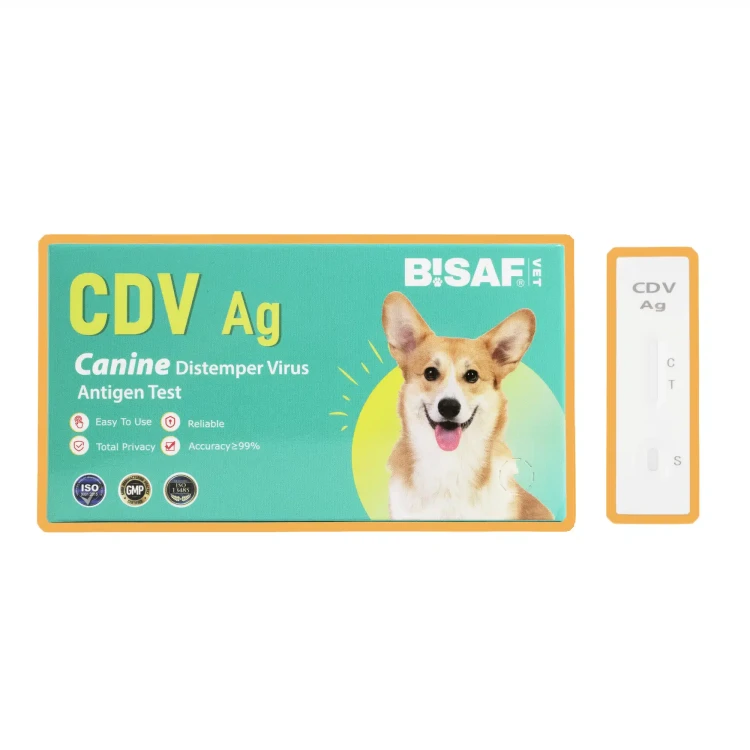 BISAF_dvot_CDV.webp