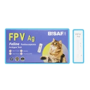 BISAF_dvot_fpv.webp