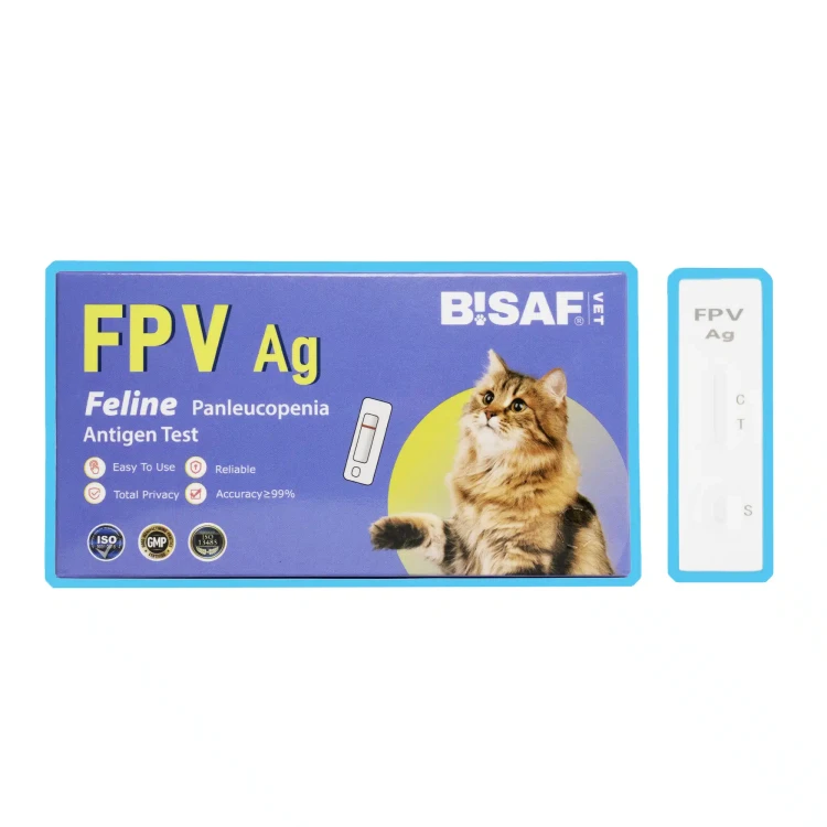 BISAF_dvot_fpv.webp
