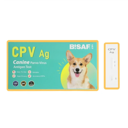 BISAF_dvot_cpv.webp