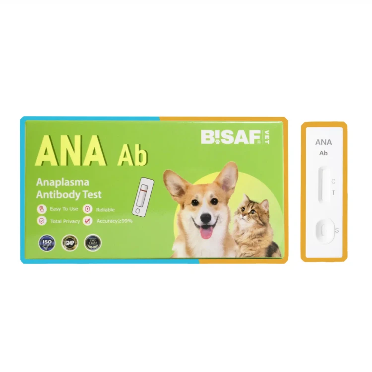 BISAF_dvot_ana.webp