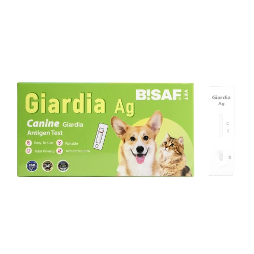 Testydlazwierzaka_dvot_giardia.webp