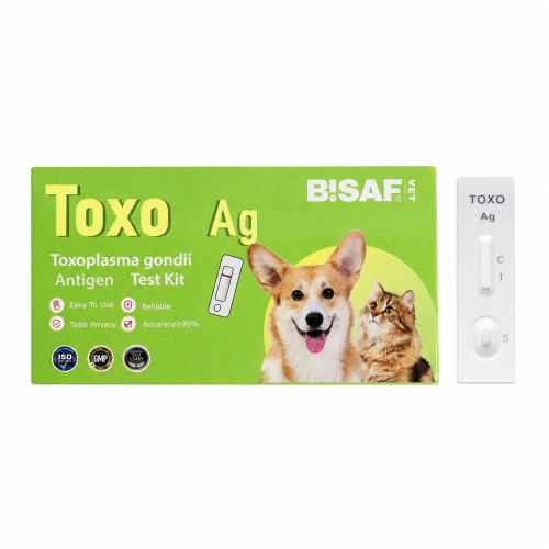 Opakowanie i kasetka testu toxoplazmoza dla psa i kota